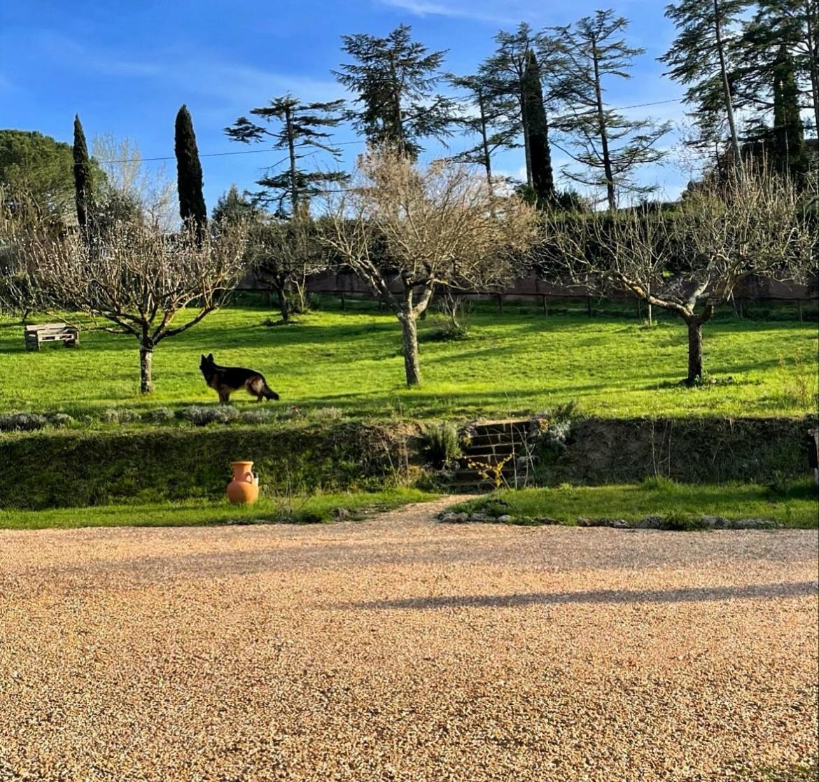 La Corte Del Sole Estadia no rancho
